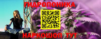 тгк Камышлов