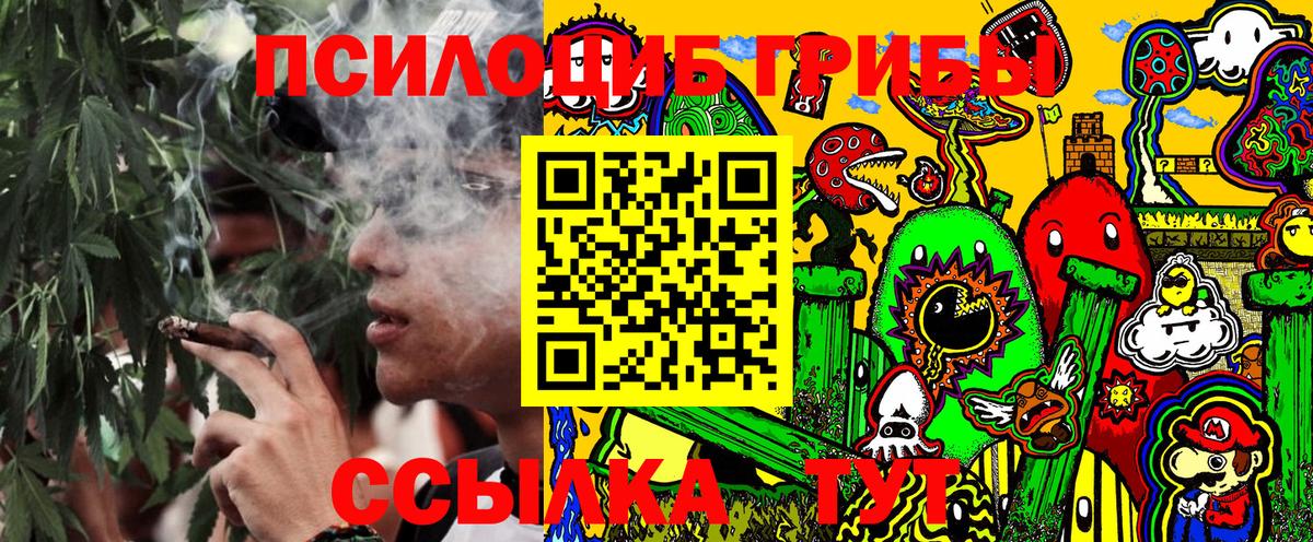Псилоцибиновые грибы прущие грибы Южно-Сахалинск