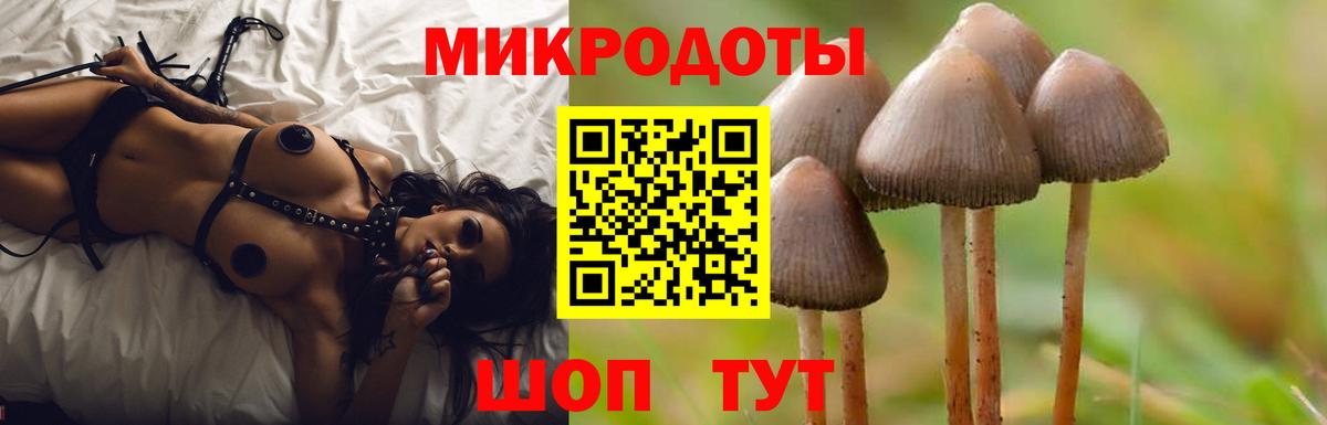 Южно-Сахалинск  Галлюциногенные грибы Psilocybe  Вход с VPN 